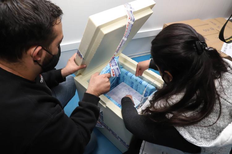 Lote com 37,4 mil vacinas da Pfizer chega ao Paraná