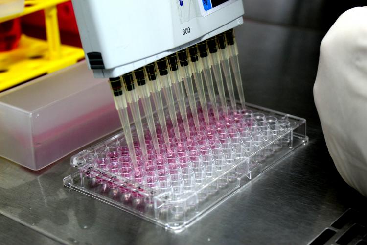 Tecpar integra Rede Estadual de Ciência, Tecnologia e Inovação das Universidades Estaduais