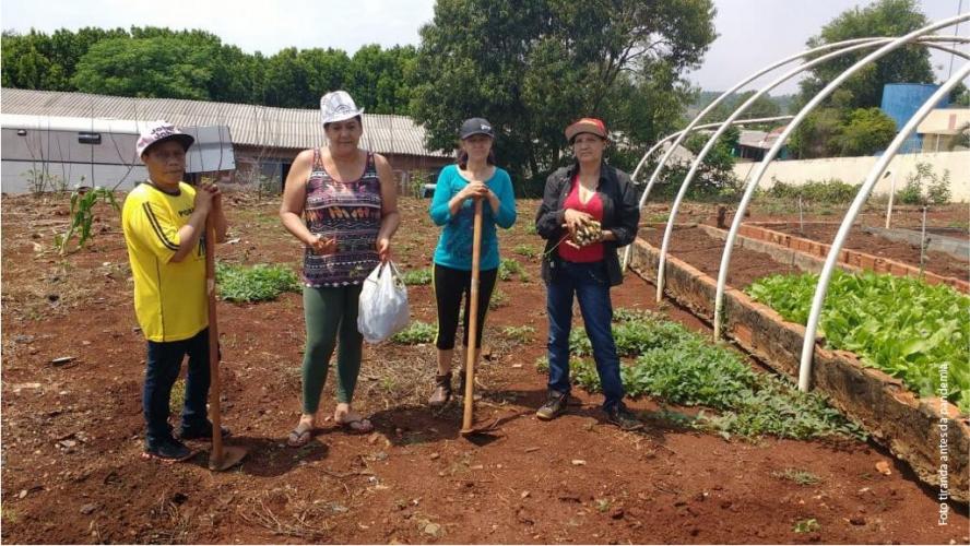 Pesquisadores da Unioeste desenvolvem horta comunitária com plantas medicinais