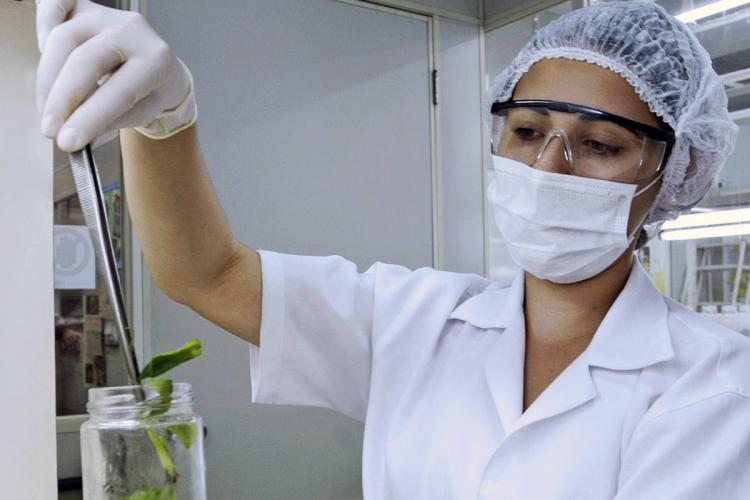 Mulheres na pesquisa