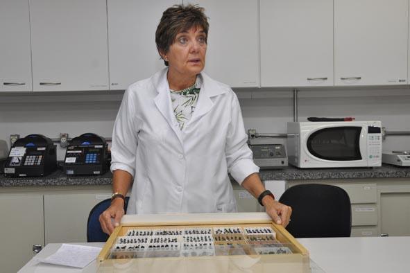 Projetos da UEL estudam extinção e comportamento de abelhas no Paraná