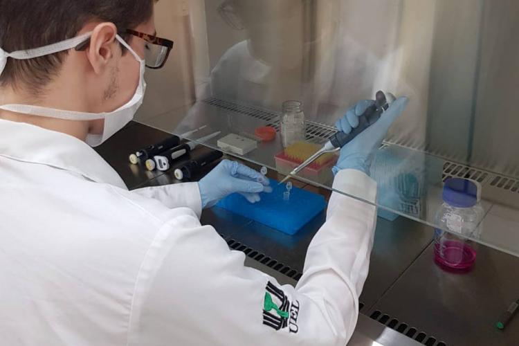 UEL possui 322 grupos de pesquisa científica e tecnológica em oito áreas