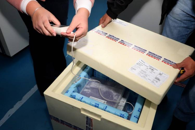 Paraná receberá mais 133,3 mil doses da Pfizer nesta sexta-feira