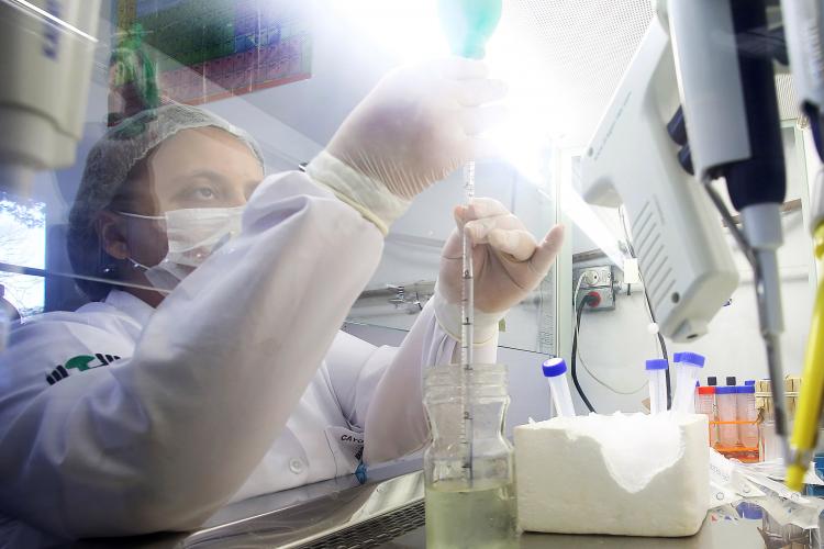 Paraná e Reino Unido reforçam cooperação em temas da saúde