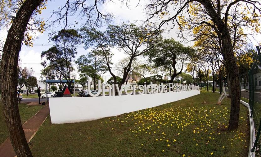 Comitê Covid-19 da UEM analisa protocolos para retorno às aulas presenciais