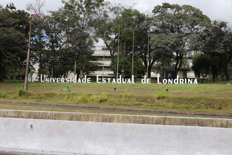 UEL debate perspectivas do ensino remoto com professores e servidores