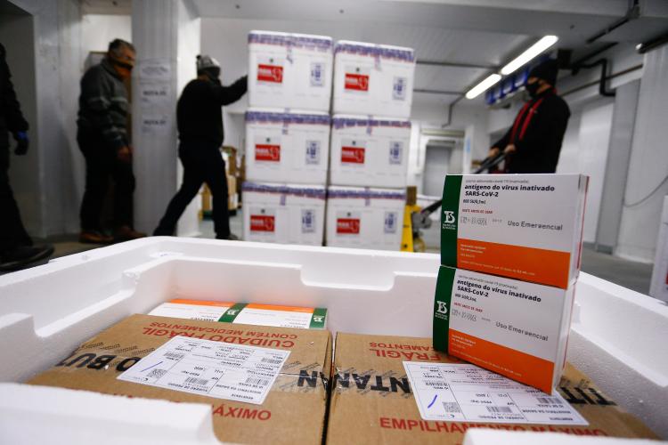 Saúde recebe mais doses e começa a distribuir 377,5 mil vacinas nesta quarta