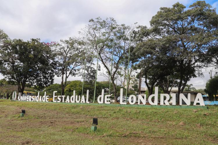 Estudantes de Física da UEL conquistam bolsas de estudos em instituições renomadas