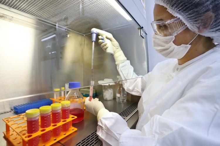 Paraná lança programa para apoiar pesquisa básica e aplicada