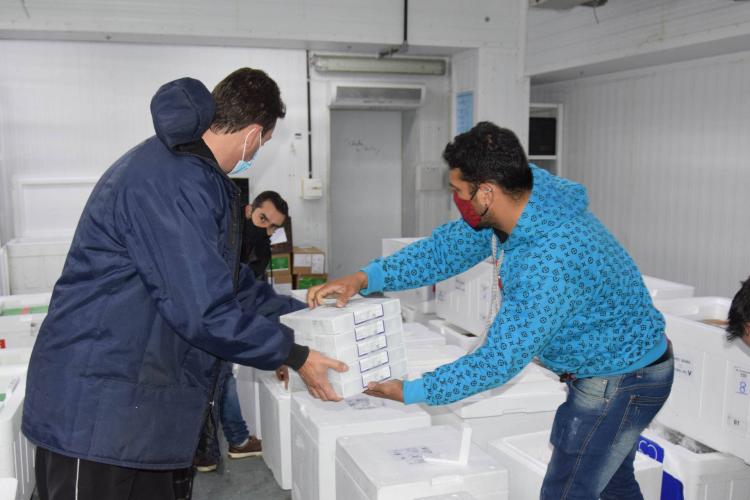 Chegam ao Paraná 107.640 doses de imunizantes contra a Covid-19