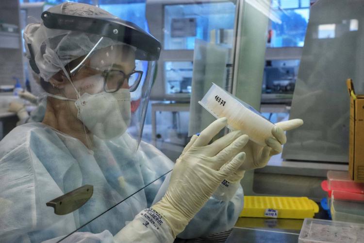 Paraná confirma mais um óbito pela variante delta, além da circulação de sublinhagens