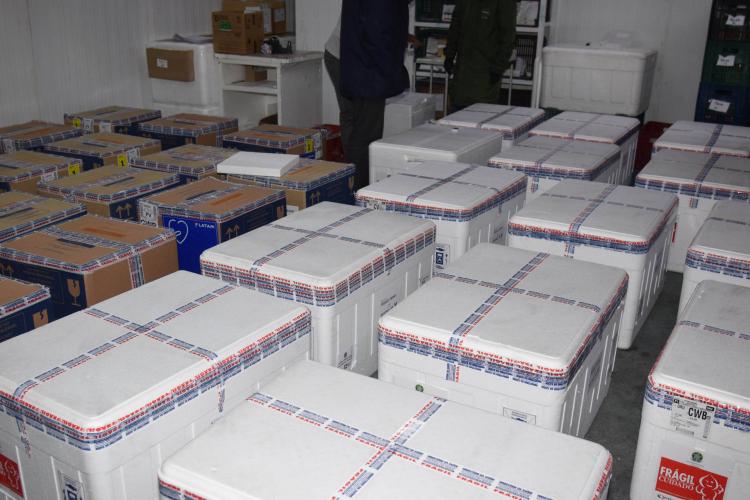 Remessa com 366.300 doses de vacinas contra a Covid-19 chega nesta quinta-feira ao Paraná