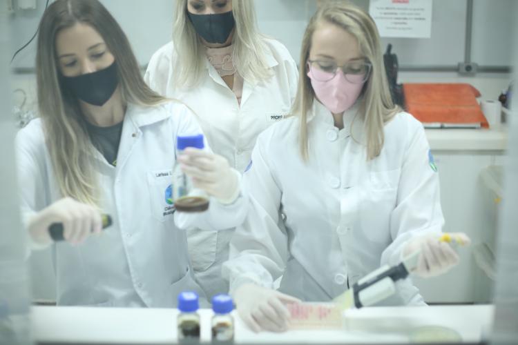 Paraná articula intercâmbio na área da educação com a República Dominicana