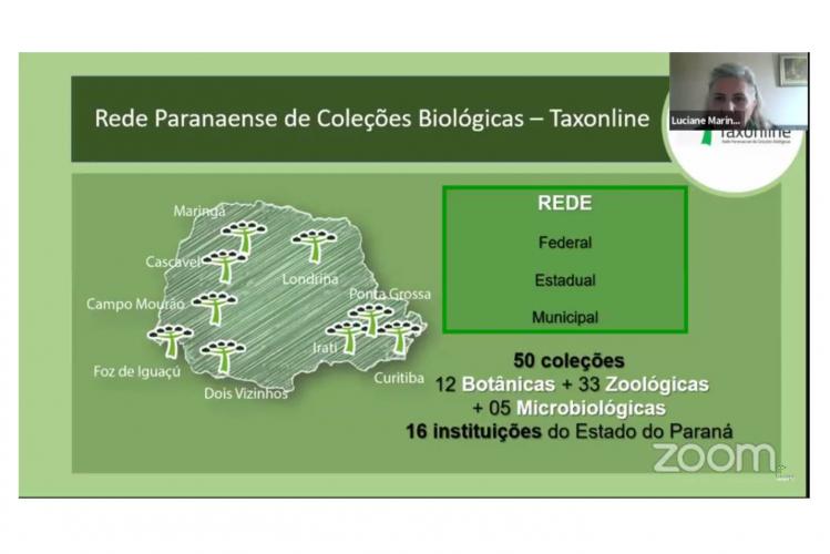 Pesquisadores debatem desafios do arranjo de pesquisa e inovação de coleções biológicas