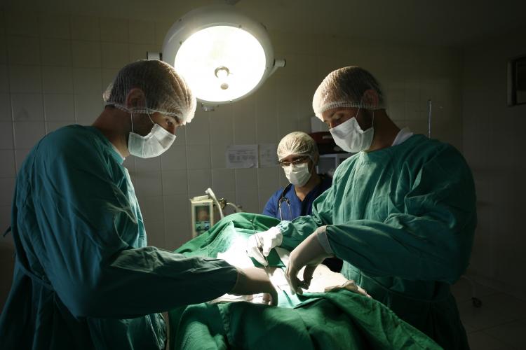 Governo destina R$ 1,2 milhão para hospitais veterinários das universidades estaduais