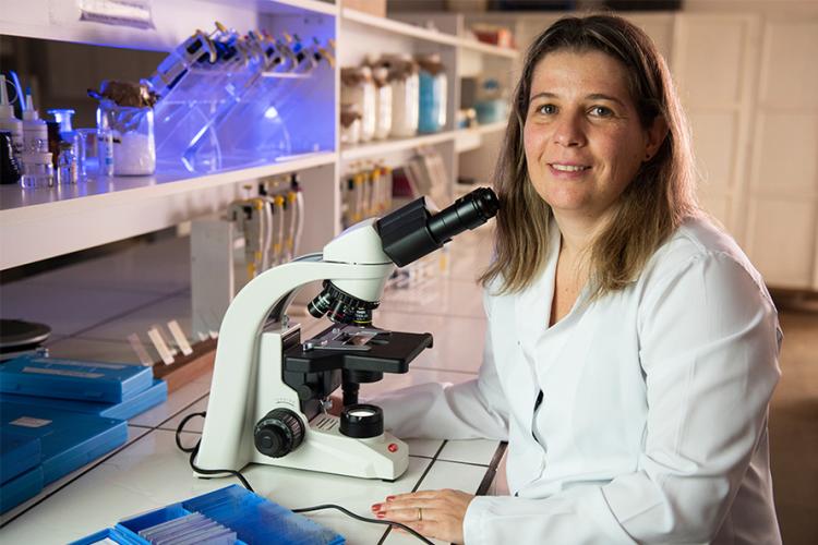 Pesquisa da UENP potencializa controle biológico da Ferrugem Asiática da Soja