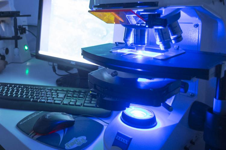 UEM receberá investimento de R$ 954 mil em 29 projetos de pesquisa científica