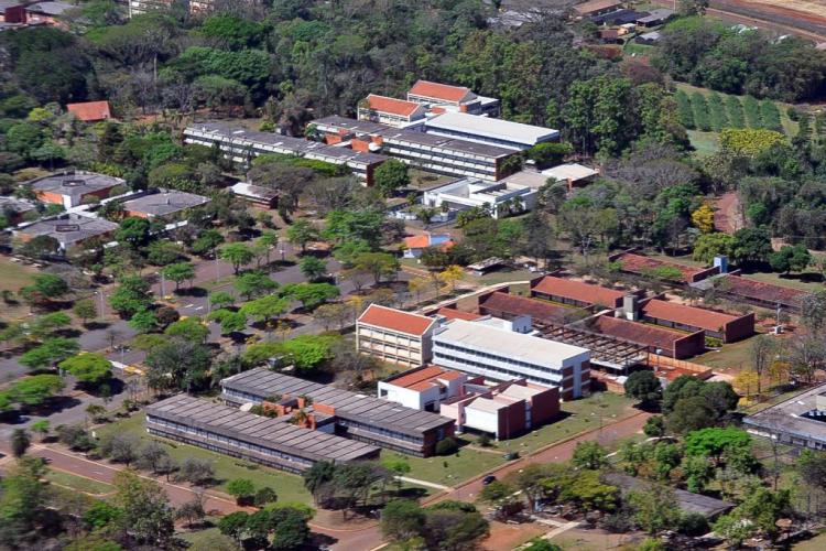 UEL orienta comunidade sobre o convívio com os macacos-pregos do Campus de Londrina