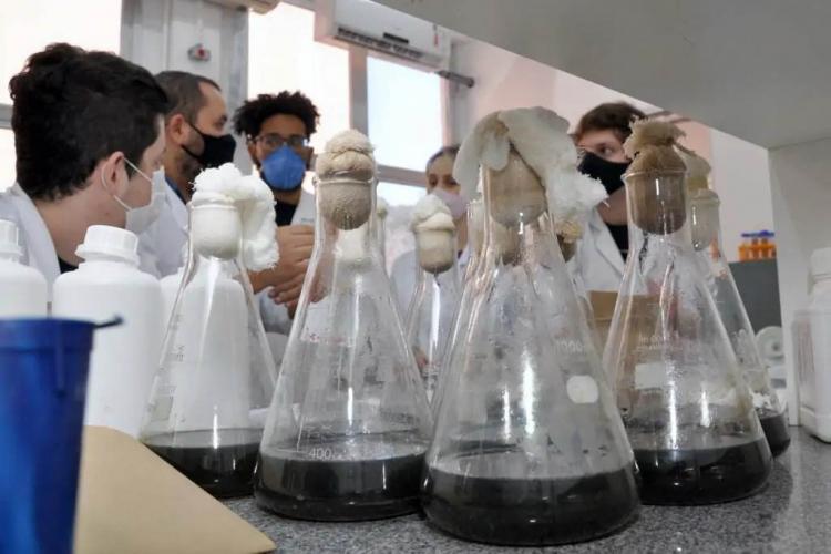 UEL tem 58 projetos contemplados em edital da Fundação Araucária para pesquisa