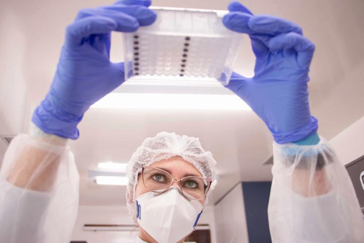 Laboratório da UEPG encontra variante Ômicron em Ponta Grossa