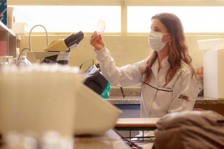 Pesquisadora analisando amostra