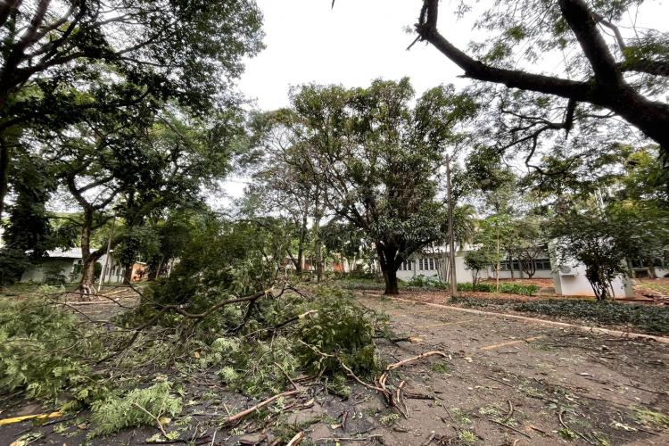 UEM suspense atividades letivas nesta segunda para reparos dos danos causados pelo temporal