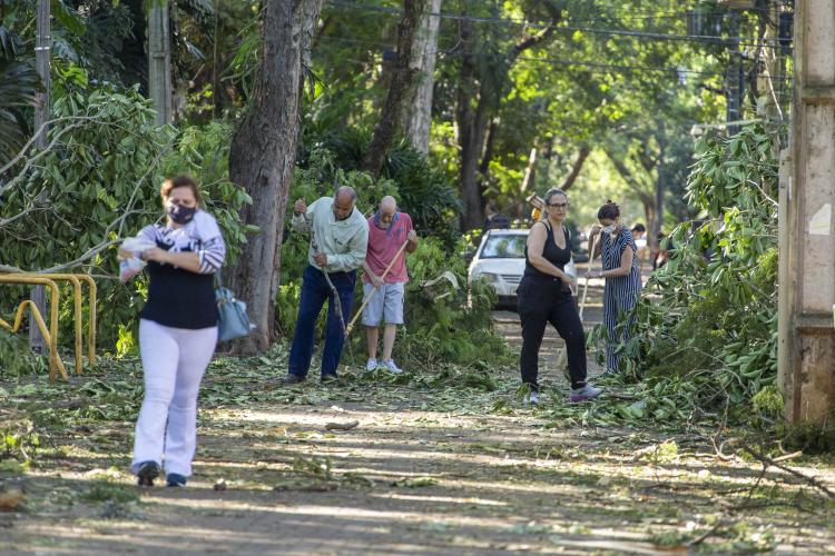 Após temporal, mutirão no câmpus da UEM tem participação da comunidade universitária