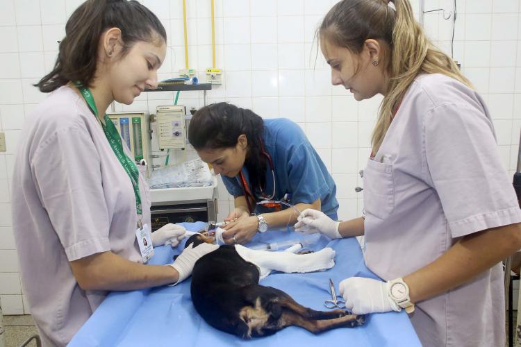 Paraná tem a menor diferença salarial entre homens e mulheres na região Sul