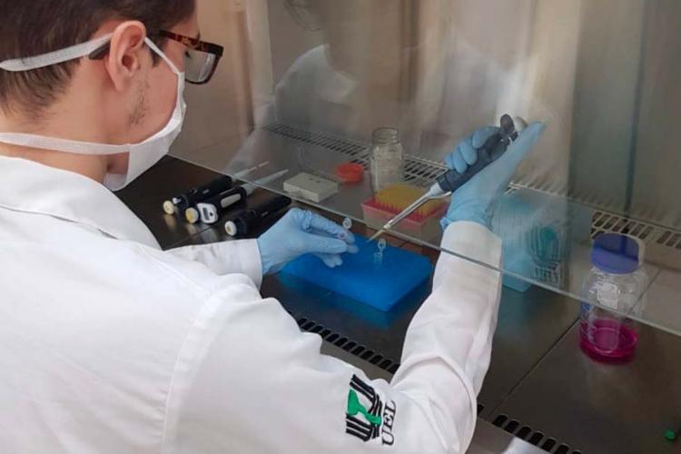 Reajuste de bolsas da Fundação Araucária beneficia 354 pesquisadores da UEL