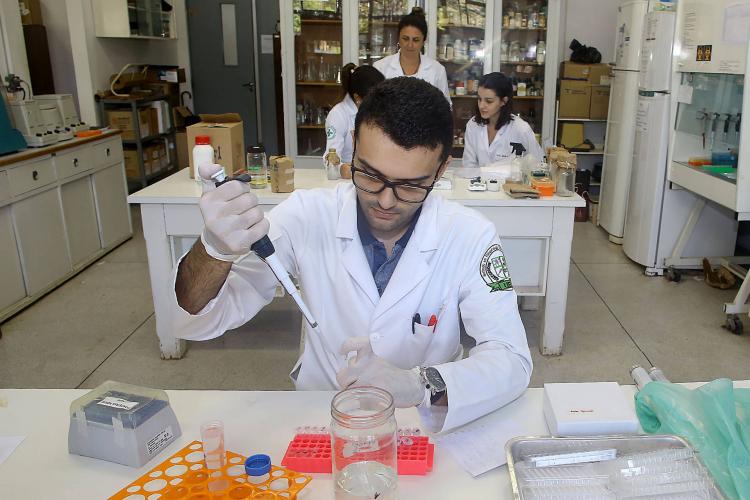 Programas de bolsas para pós-graduação e talentos seniores terão aporte de R$ 39 milhões