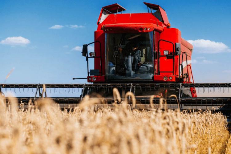 Projeto da UEL estuda evolução, uso e manejo do solo vermelho do Norte