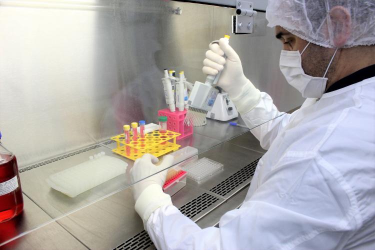 Com R$ 16 milhões em bolsas do CNPq, Paraná reforça protagonismo na ciência