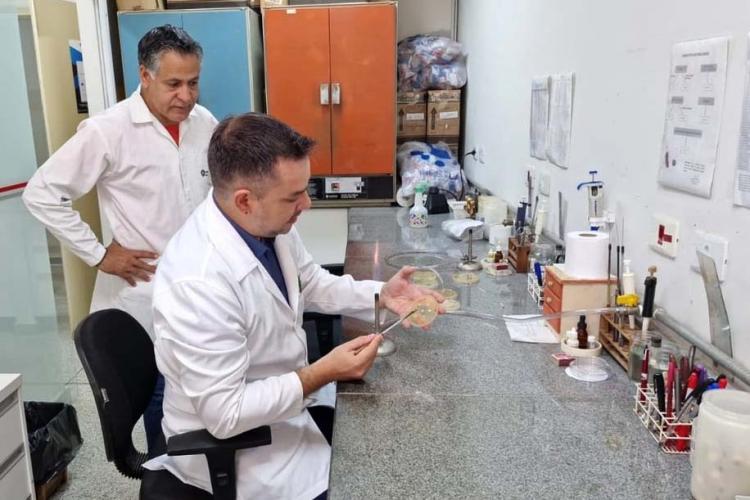 Navegação principal Inicial Últimas notícias Rádio Vídeos Imagens Editorias Arquivo de Notícias Séries Especiais Contato Com aprovação do CNPq, laboratório da UEL vai estudar bactérias super-resistentes