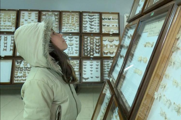 Museu de Ciências Naturais de Guarapuava promove Uma Noite no Museu nesta quinta