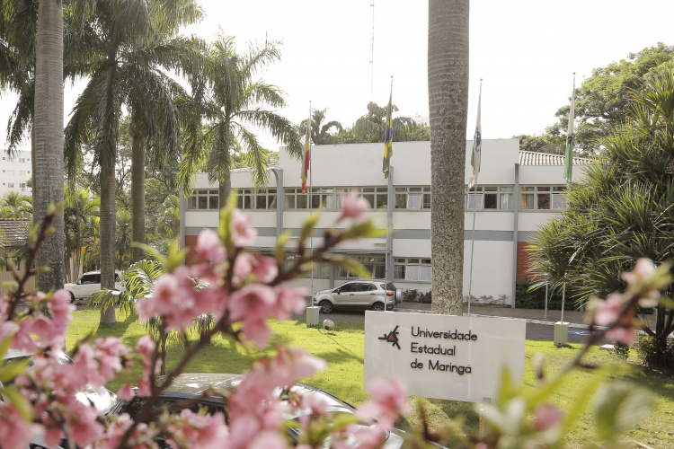 De instrutor de língua japonesa a contador: UEM vai contratar 18 servidores temporários