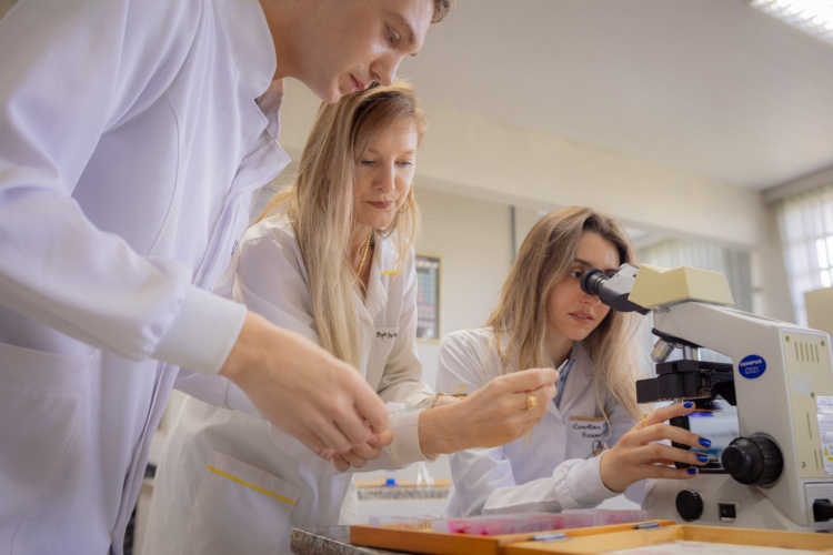 UEM e Unioeste têm nota máxima e Paraná confirma 3° melhor ensino superior do Brasil