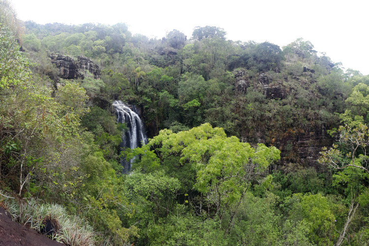 Paraná reforça conservação da biodiversidade com apoio do Fundo Verde do BRDE