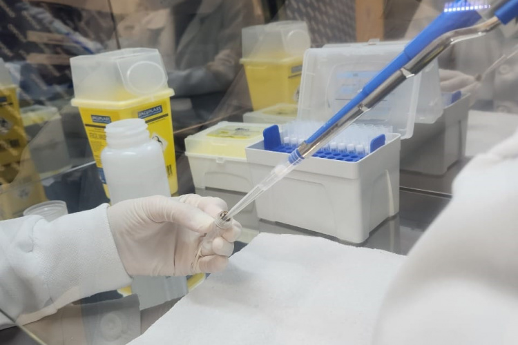 Paraná lança Napi para avançar em saúde pública de precisão com foco em genômica