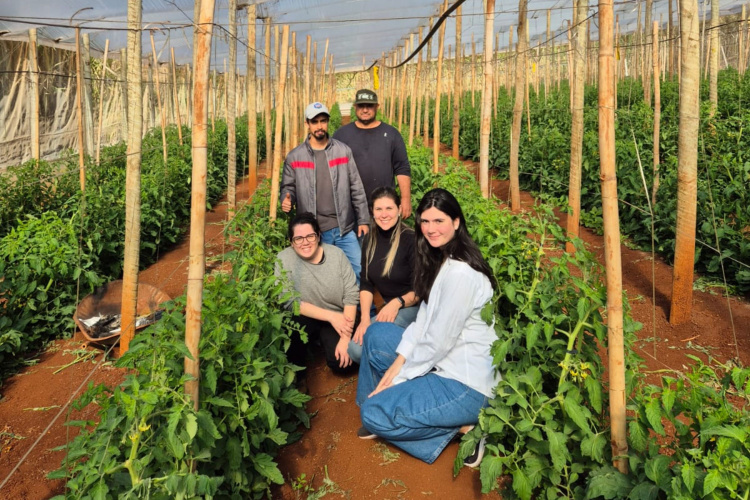 Estado inicia nova fase do programa que transforma pesquisas em novos produtos