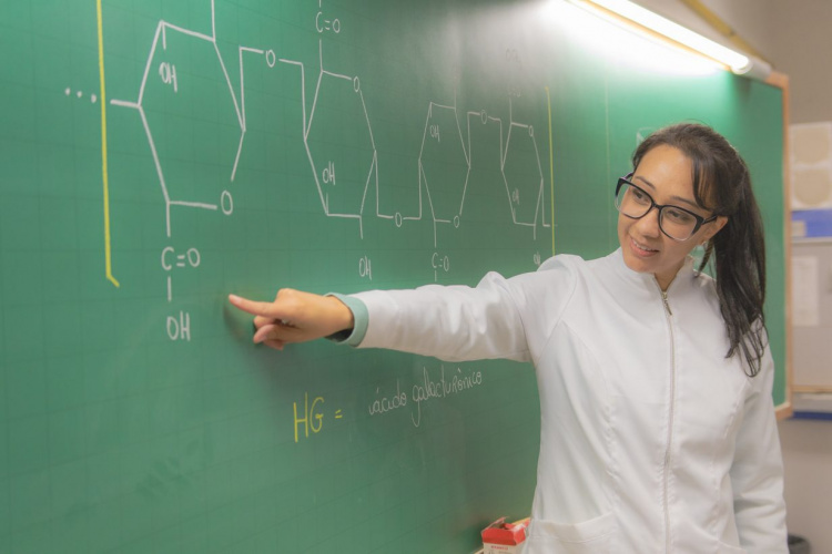 Universidades estaduais do Paraná têm salto de 26% no número de professores com doutorado