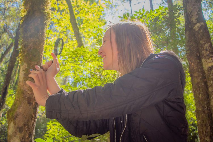 Universidades paranaenses se destacam em ranking mundial de sustentabilidade