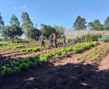 Projeto de Capacitação em Horticultura da UEM