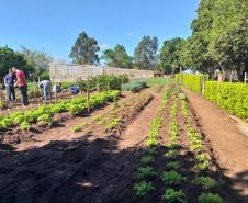 Projeto de Capacitação em Horticultura da UEM