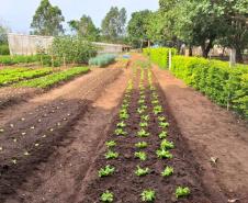 Projeto de Capacitação em Horticultura da UEM