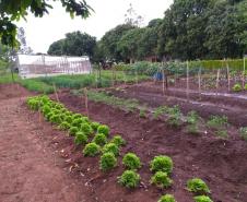 Projeto de Capacitação em Horticultura da UEM