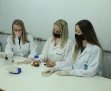 Pesquisa da Unioeste produz nanopartículas com bioativos de plantas brasileiras