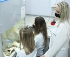 Pesquisa da Unioeste produz nanopartículas com bioativos de plantas brasileiras