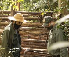 Projetos analisam zoonoses relacionadas a javalis em parques estaduais