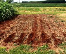 Unioeste incentiva produção de leite orgânico em propriedades da Agricultura Familiar