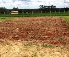 Unioeste incentiva produção de leite orgânico em propriedades da Agricultura Familiar